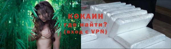 соль ск Новодвинск