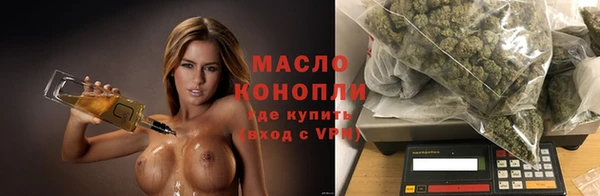 молекула духа Арсеньев