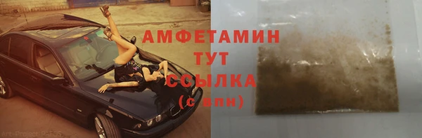 молекула духа Арсеньев